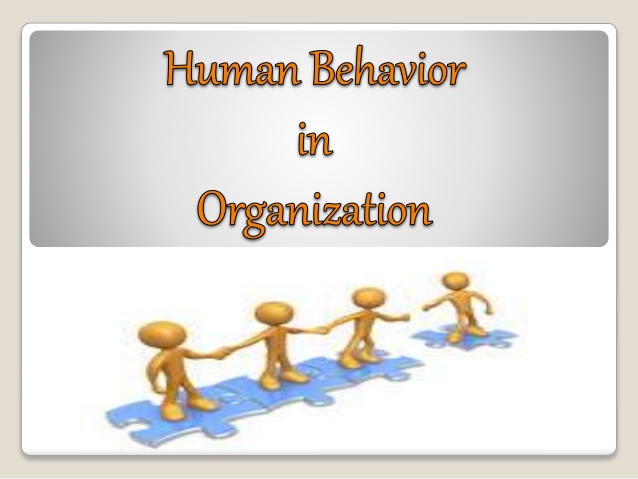 Human Behavior in Organization