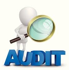 Auditing and Assurance: Specialized Industries