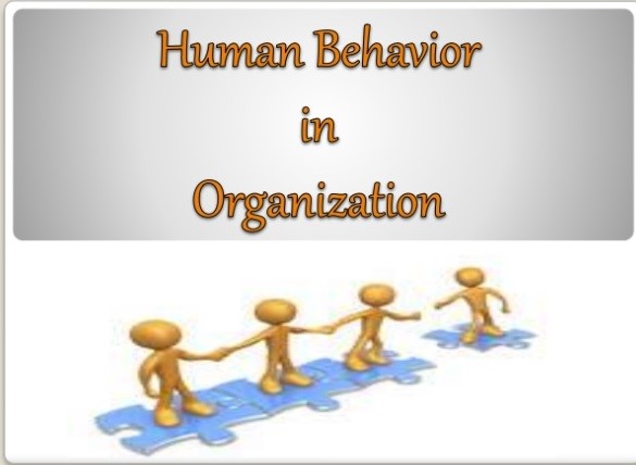 Human Behavior in Organization