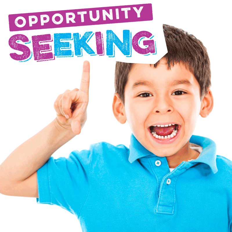 Opportunity Seeking