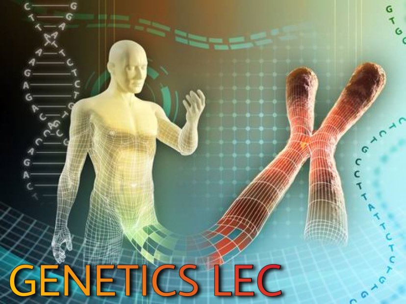 Genetics Lecture - MARIANO, CM