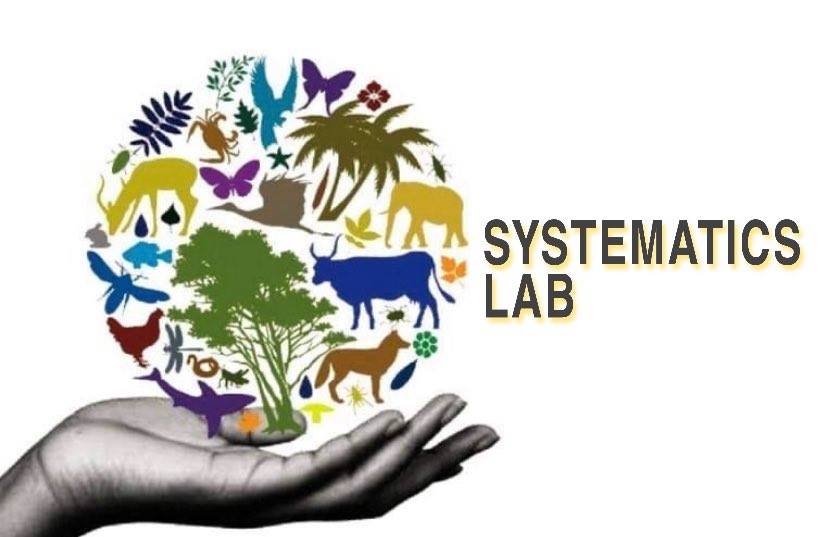 Systematics Lab-MARIANO, CM