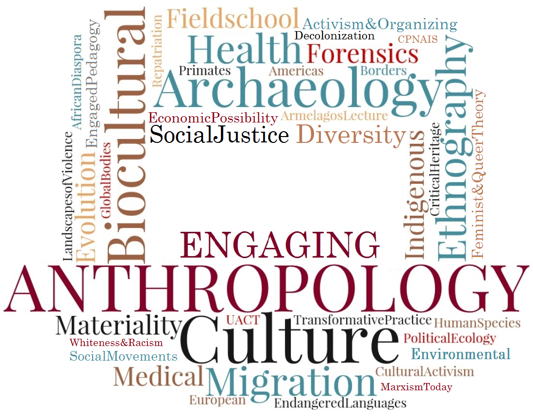 Socio Cultural Anthropology