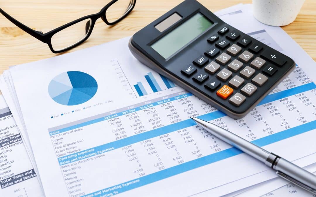 Financial Accounting &amp; Reporting with SAP