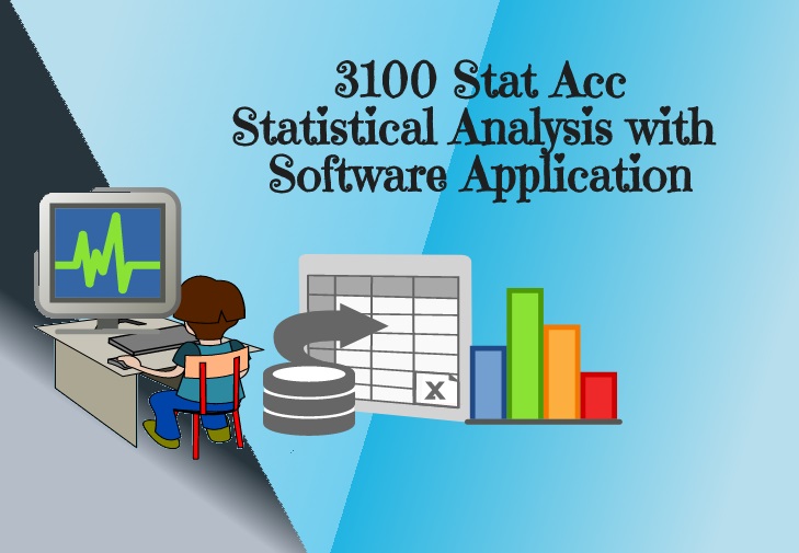 Statistical Analysis with Software Application (3100)