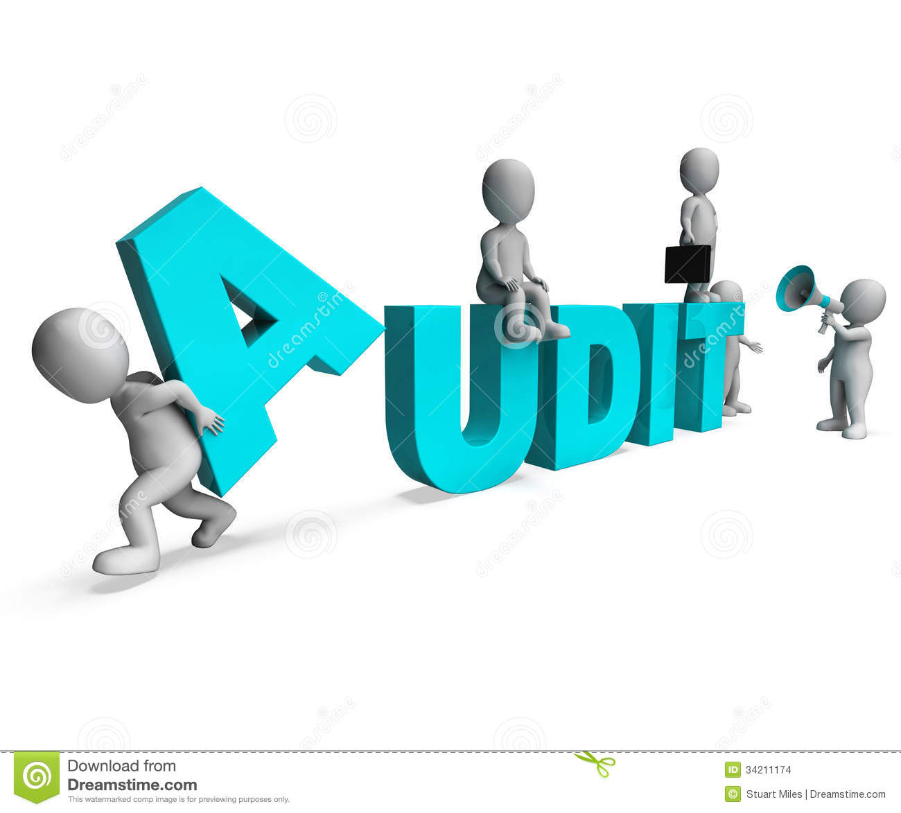 Auditing and Assurance Principles(3117) 9:30-10:30 MWF