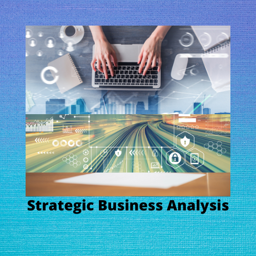 Strategic Business Analysis (3134)