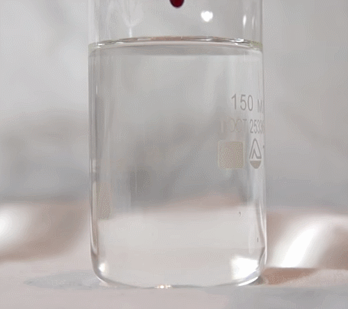 Pharmaceutical Inorganic Chemistry (w/QA) and SpT