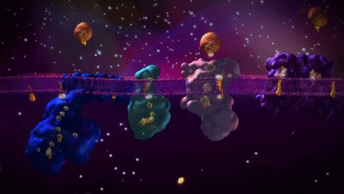 Biochemistry for Medical Laboratory Science