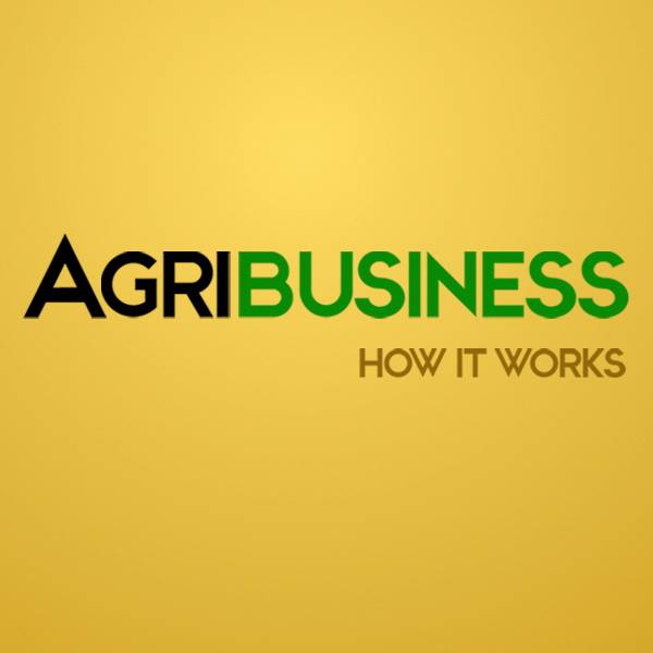 Management of Agribusiness