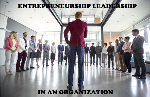 Entrepreneurship Leadership in an Organization
