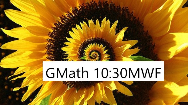 Mathematics in the Modern World