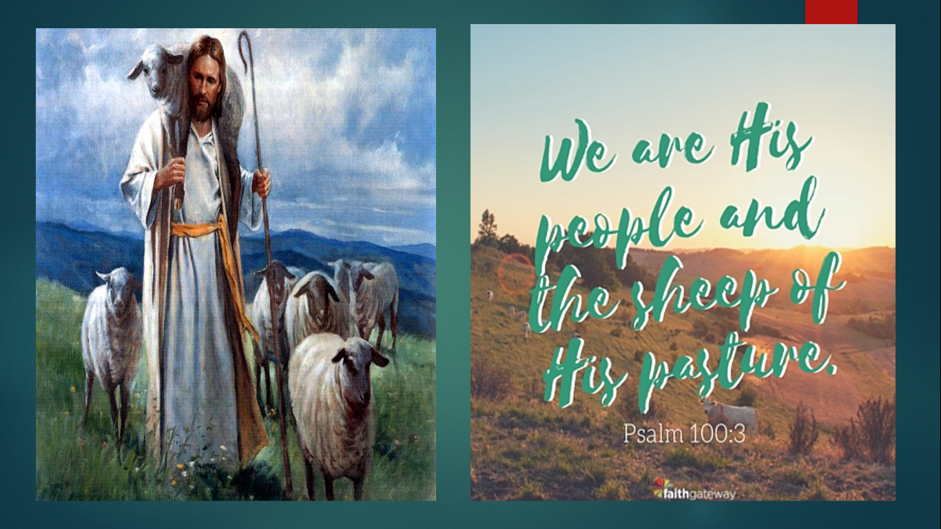 God's Journey with His People