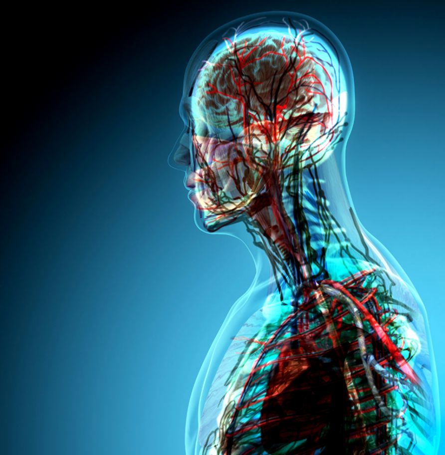 Human Anatomy and Physiology with Pathophysiology