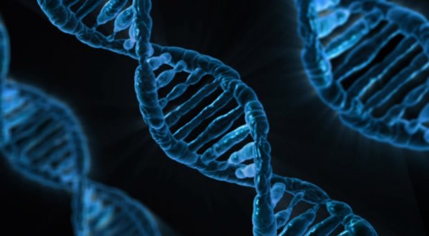 Molecular Biology & Diagnostics_(5323 & 5333)_<span class="highlight">7</span>:30-10:30 MW