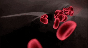Hematology 1