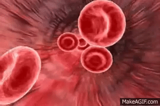 Hematology 1