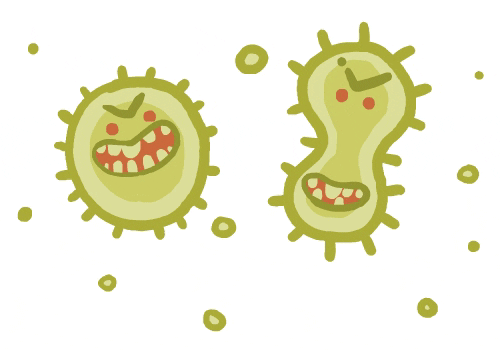 Microbiology Lecture