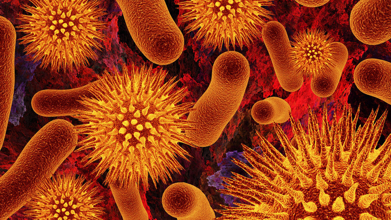 Microbial Taxonomy Laboratory (8:30-10:00 WF)