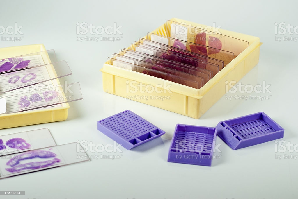 5280 Histopathologic and Cytologic Techniques