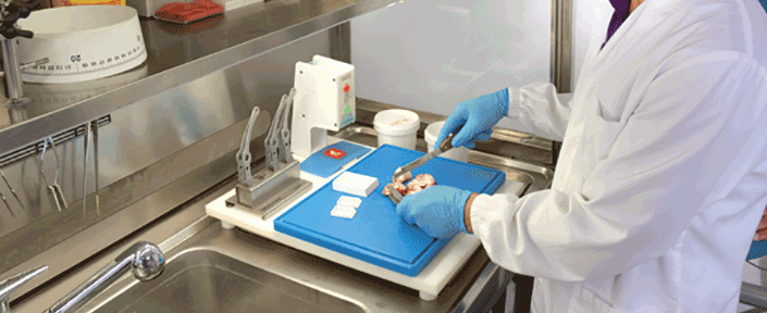 5293 Histopathologic and Cytologic Techniques