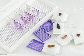 5294 Histopathologic and Cytologic Techniques