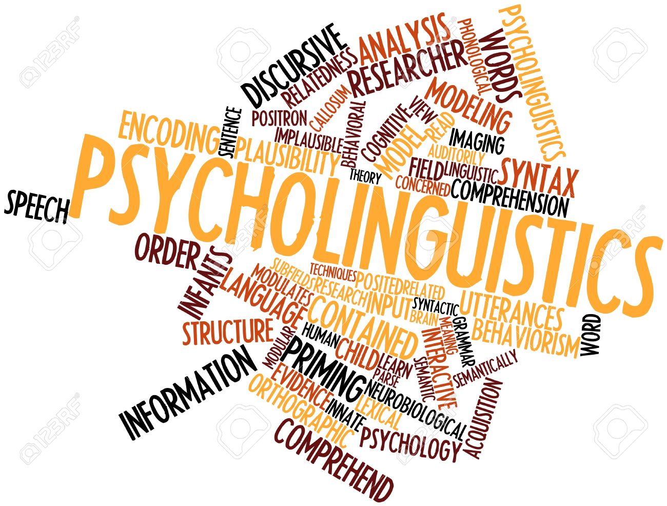 Psychology of Language ( BA ELS_ 6470)