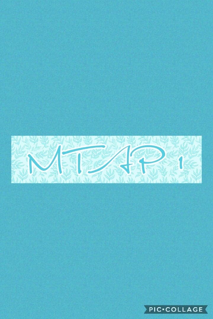 Medical Technology Assessment Program 1
