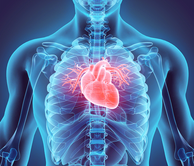 Human Anatomy and Physiology with Pathophysiology