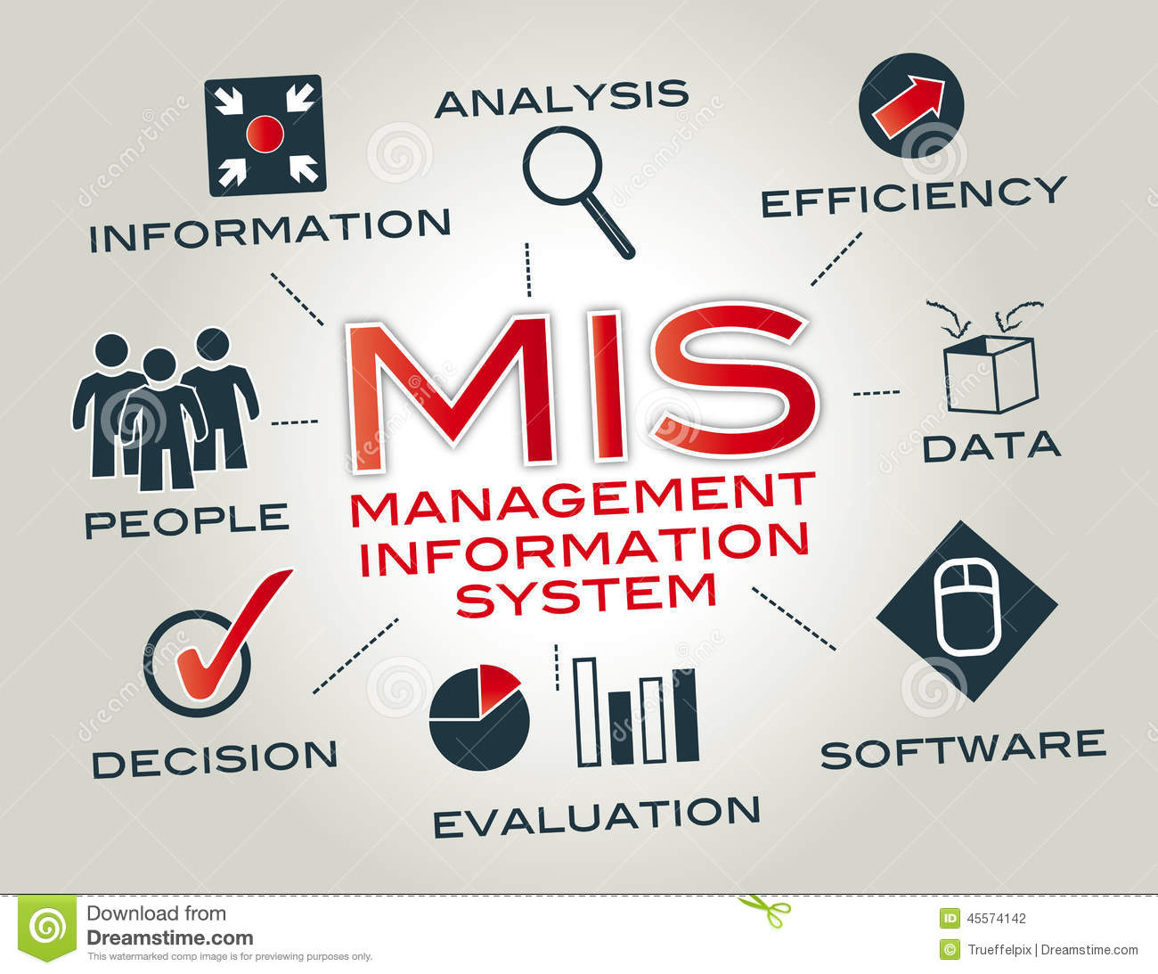 Management Information Systerm