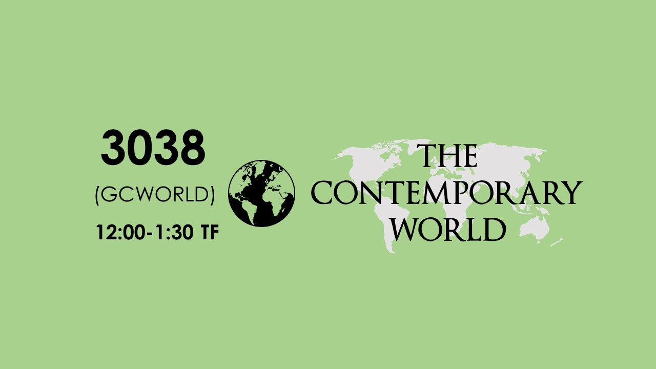 3038 The Contemporary World