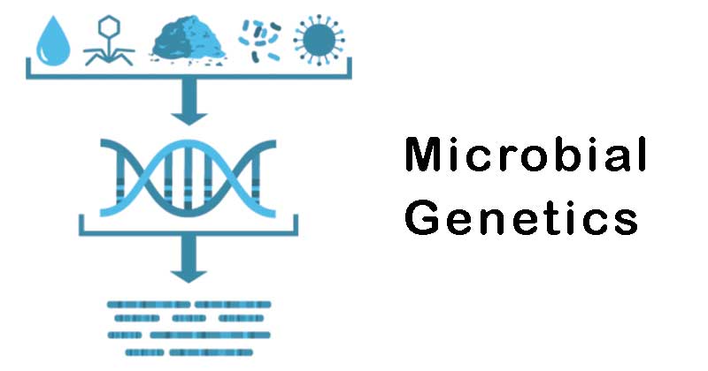 2NDSEM_5021 Microbial Genetics Laboratory