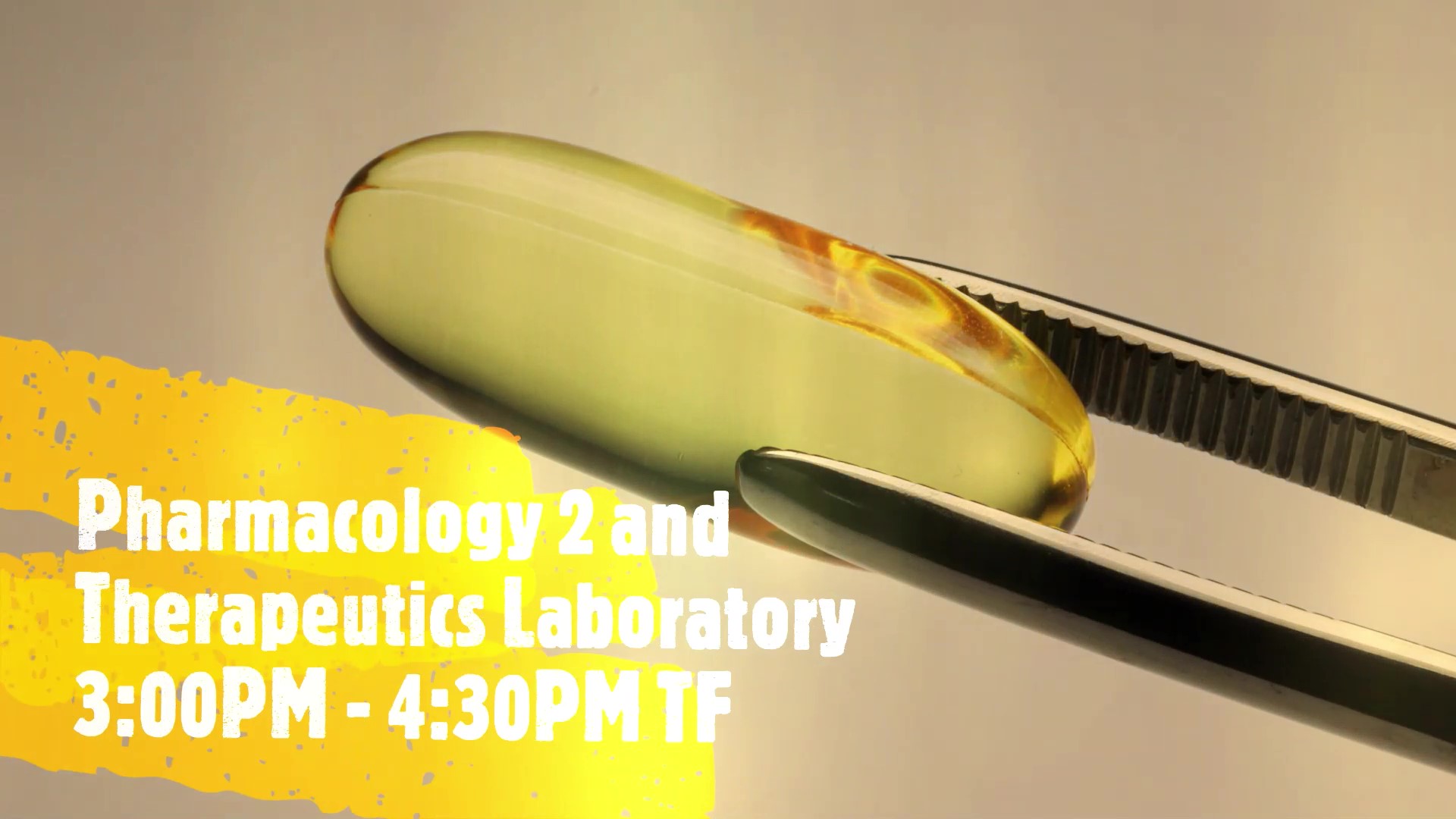 Pharmacology 2 and Therapeutics Laboratory