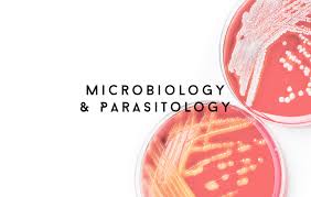 2NDSEM_6087&amp;6088 Microbiology and Parasitology (Lec&amp;Lab)