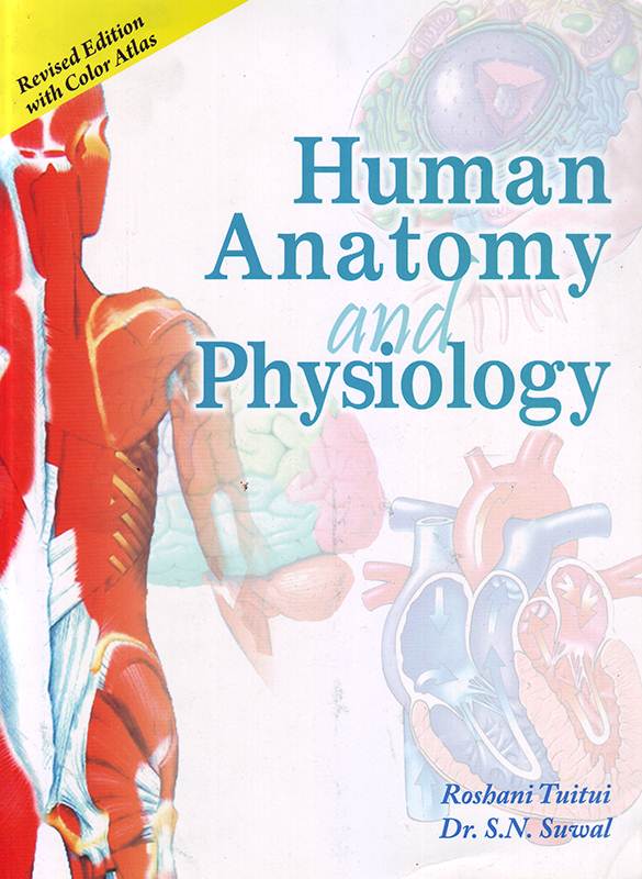 2NDSEM_6784&amp;6090 Human Anatomy and Physiology