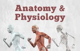 BPEd 112 Anatomy and Physiology of Human Movement 3:00-5:30pm