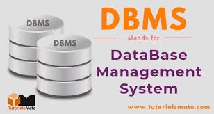 Database  Management Systems Architecture