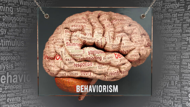 Behavior Theories Analysis and Intervention