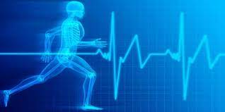 Exercise Physiology SY 2024 - 2025