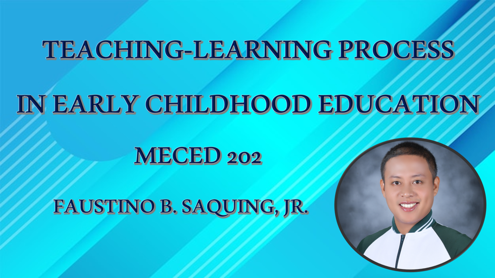 Teaching-Learning Process in Early Childhood Education
