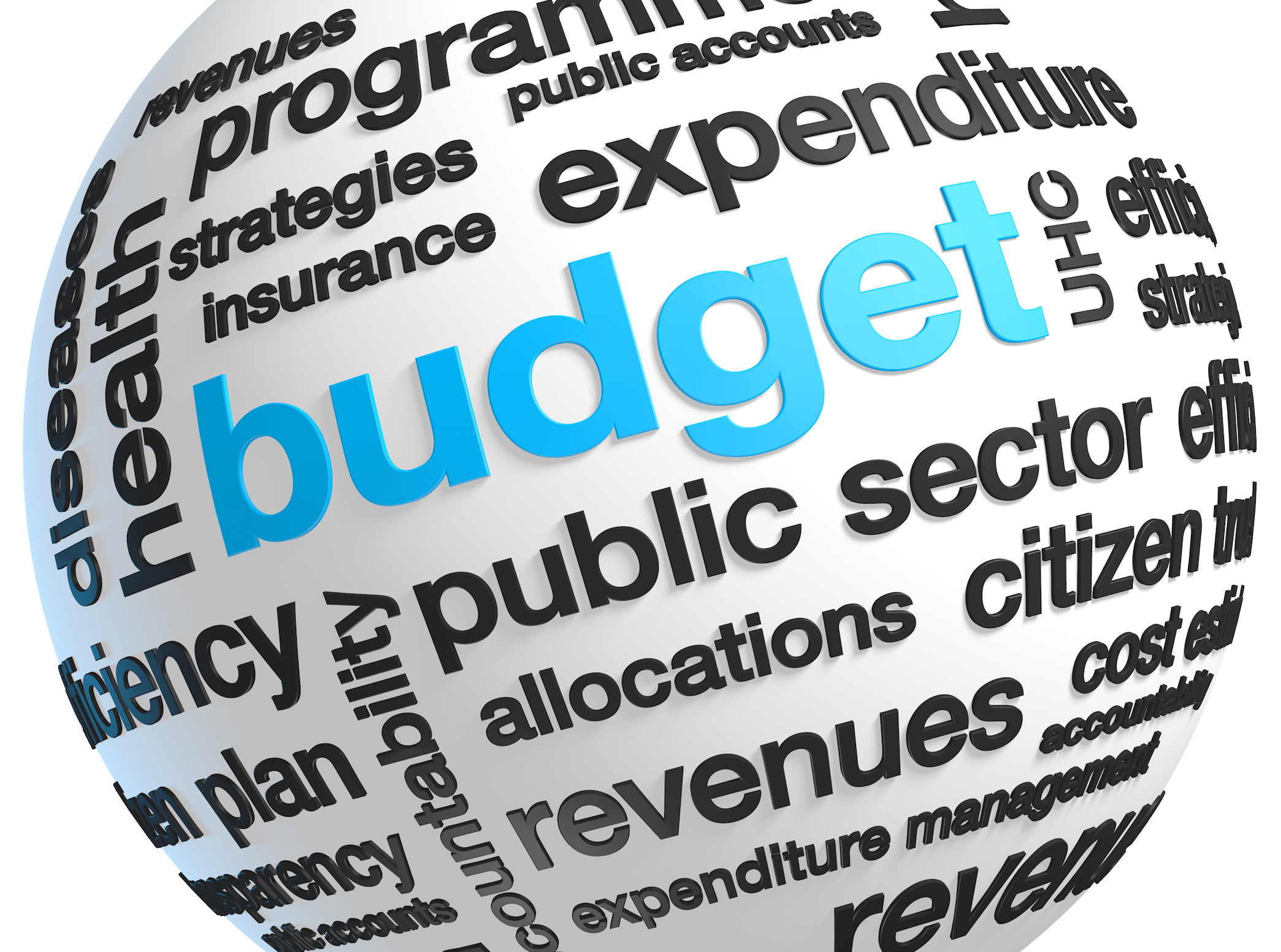 Public Finance &amp; Fiscal Management