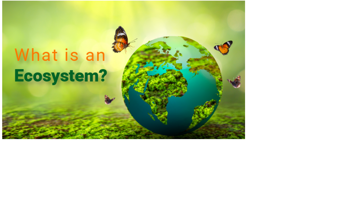 People and the Earth's Ecosystem