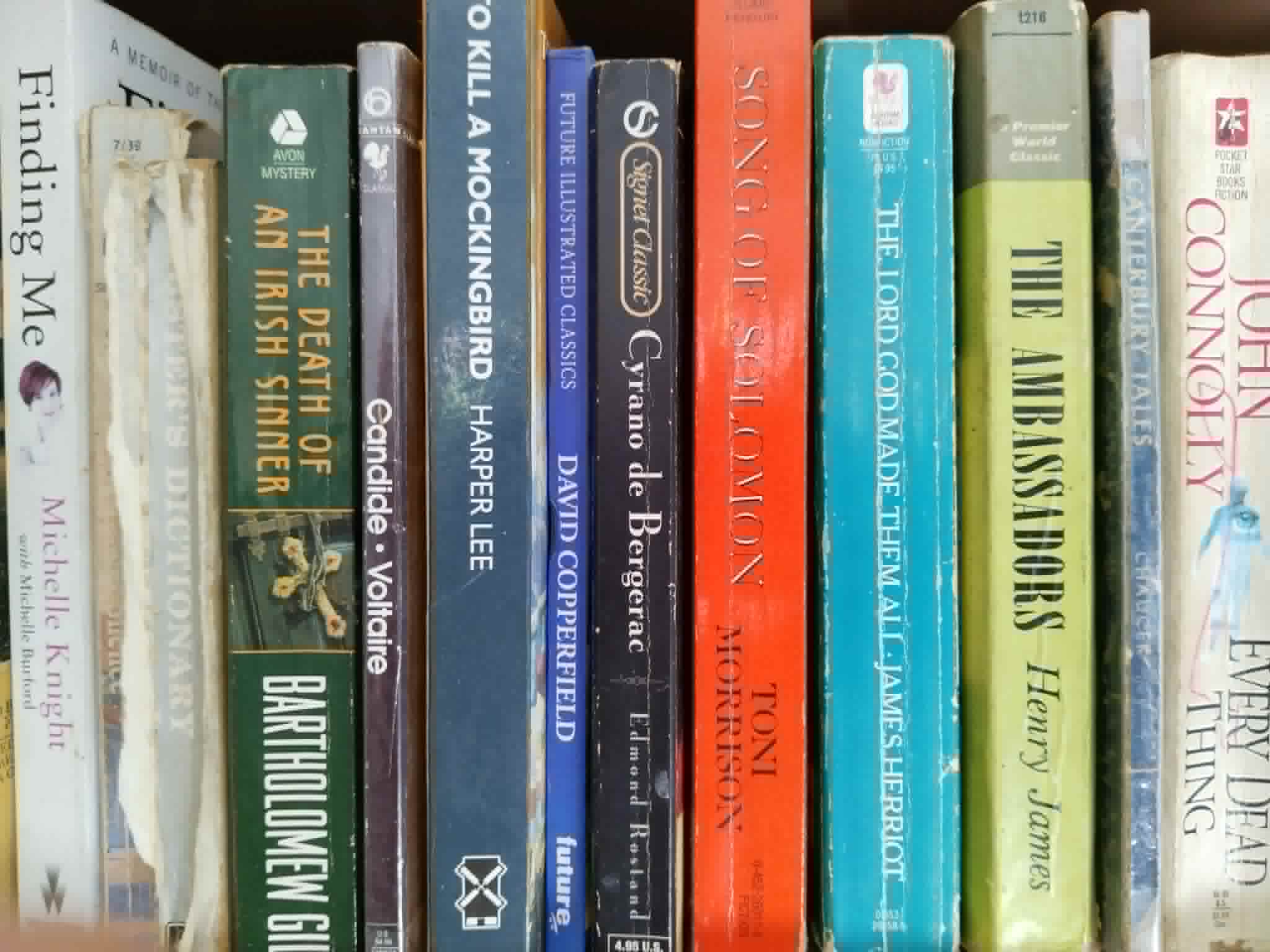 Survey of English and American Literature