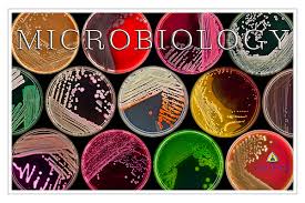 5276 Microbiology and Parasitology. Almendral, R. (LAB)